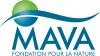 mava